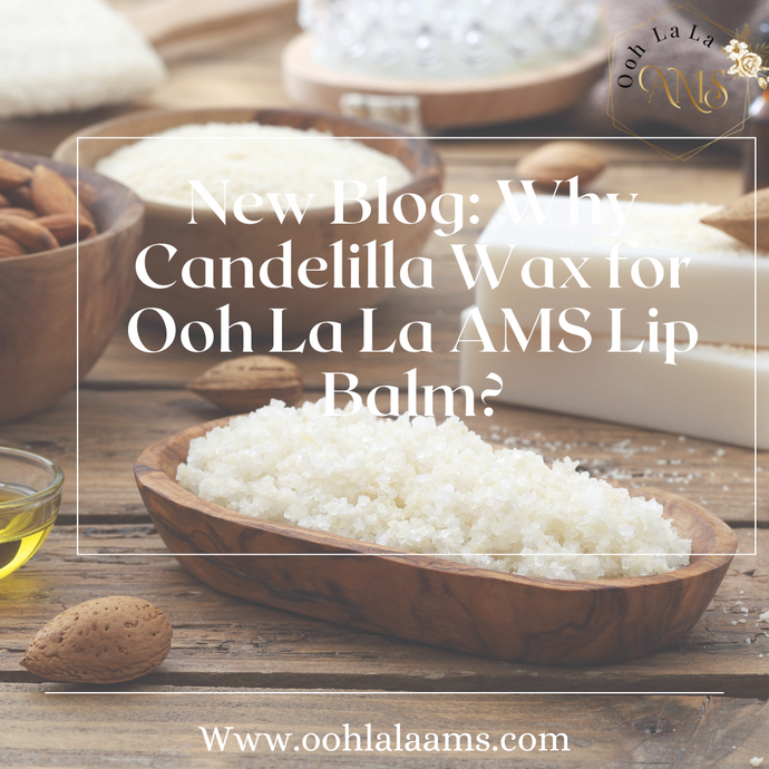 Why Candelilla Wax for Ooh La La AMS Lip Balms?